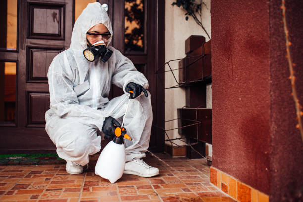 Reliable Wasp Removal contractor in Milford, IA by Show Me Pest Control